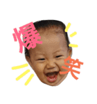 里芋くん（個別スタンプ：1）