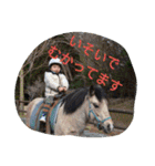 japanese brothers stickers（個別スタンプ：11）