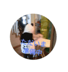 japanese brothers stickers（個別スタンプ：12）