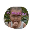 japanese brothers stickers（個別スタンプ：14）