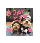 reo-hime-stanp（個別スタンプ：1）