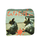 reo-hime-stanp（個別スタンプ：5）