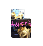 reo-hime-stanp（個別スタンプ：14）