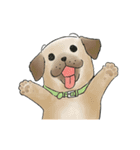 dogplease 2018（個別スタンプ：4）