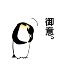 ダンディペンギン 2（個別スタンプ：2）