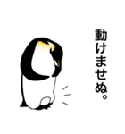 ダンディペンギン 2（個別スタンプ：9）