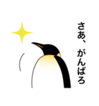 ダンディペンギン 2（個別スタンプ：11）