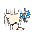 Myちわわんず（個別スタンプ：5）