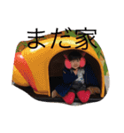 蒼乃1（個別スタンプ：29）
