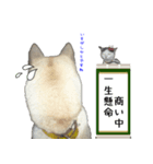 Dog-mei3（個別スタンプ：16）