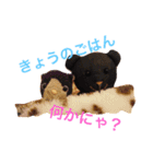 にゃんこ＆ぱーとなーず（個別スタンプ：14）