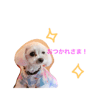 愛犬しいちゃん（個別スタンプ：7）