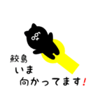 鮫島用 クロネコくろたん（個別スタンプ：19）