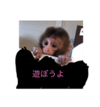 お猿の花ちゃん（個別スタンプ：4）