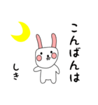 しき用 シロウサけいたん（個別スタンプ：3）