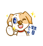 Lovely puppy Jimmy - Year Of Puppy（個別スタンプ：21）