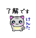 けんた ねこ（個別スタンプ：24）