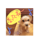 よーきー日和2（個別スタンプ：3）