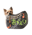 よーきー日和2（個別スタンプ：8）
