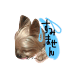 よーきー日和2（個別スタンプ：10）