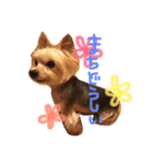 よーきー日和2（個別スタンプ：13）