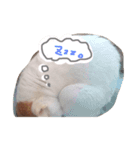 実家のかんぺいちゃん♀（個別スタンプ：8）
