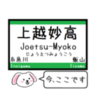 北陸の新幹線いまこの駅だよたれ耳タレミー（個別スタンプ：6）