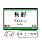 北陸の新幹線いまこの駅だよたれ耳タレミー（個別スタンプ：8）