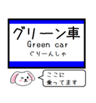 北陸の新幹線いまこの駅だよたれ耳タレミー（個別スタンプ：30）