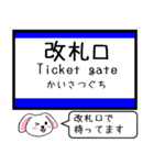 北陸の新幹線いまこの駅だよたれ耳タレミー（個別スタンプ：31）