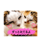 love me ku cat（個別スタンプ：1）