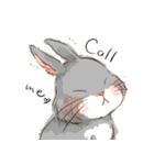 Lovely rabbit sticker！<English version>（個別スタンプ：1）