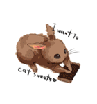 Lovely rabbit sticker！<English version>（個別スタンプ：2）