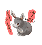 Lovely rabbit sticker！<English version>（個別スタンプ：18）