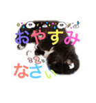 黒ごま。。。。。（個別スタンプ：14）