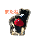 marimo of Chihuahua2（個別スタンプ：6）