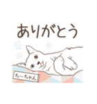 猫大好き【ちーちゃん】北欧風名前スタンプ（個別スタンプ：10）