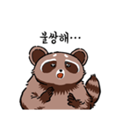 Racoonman's "Do not worry！"（個別スタンプ：13）