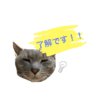 クロコロな日々【敬語編】（個別スタンプ：2）