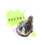 クロコロな日々【敬語編】（個別スタンプ：4）