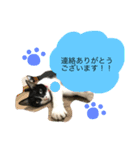 クロコロな日々【敬語編】（個別スタンプ：9）