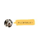 クロコロな日々【敬語編】（個別スタンプ：12）