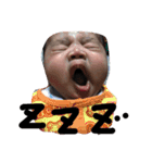 SINBA1（個別スタンプ：6）