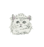 Cute cat illustration sticker（個別スタンプ：22）