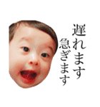 pei stamp3（個別スタンプ：4）