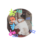 かなちゃん。（個別スタンプ：11）
