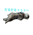 もいにゃっす（個別スタンプ：7）