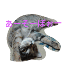 もいにゃっす（個別スタンプ：9）