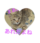 もいにゃっす（個別スタンプ：14）