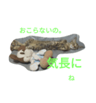 もいにゃっす（個別スタンプ：15）